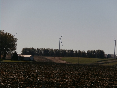Fastest-Windbreaks-Hog-Confinement-Trees